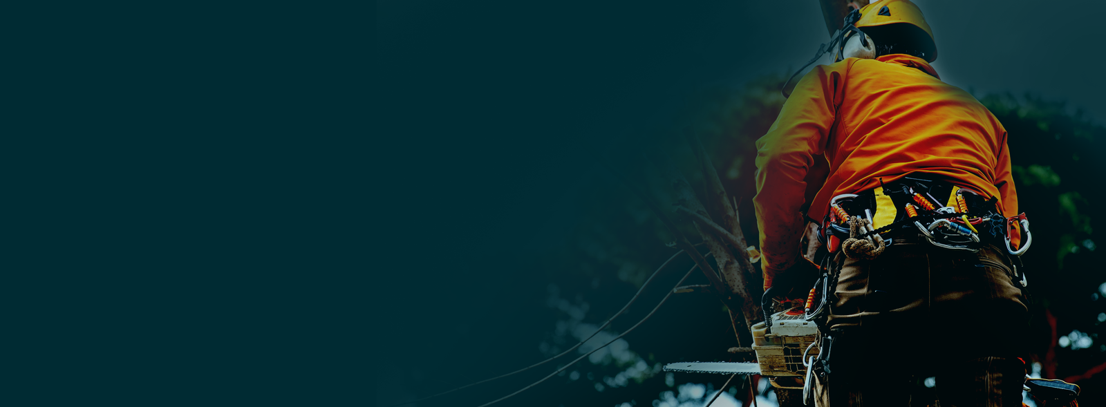 Training, Advisory & Compliance Specialists i Training, Advisory & Compliance Specialists